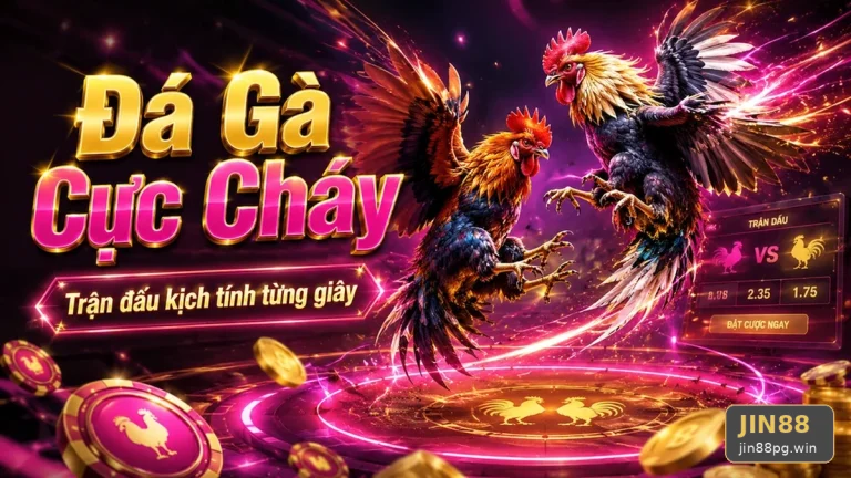 Hướng Dẫn JIN88 Trên Thiết Bị Di Động: Lập Kế Hoạch Thời Gian, Ngân Sách Và Lịch Sử Sử Dụng Khi Xem Đá Gà Trực Tuyến Tại jin88pg.win